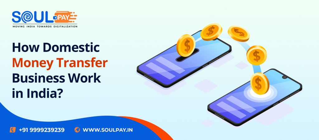 Domestic Money Transfer Services - Soulpay